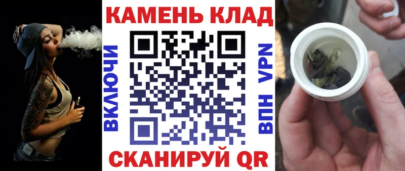 купить закладку  Шацк  mega онион  ГАШ Premium 