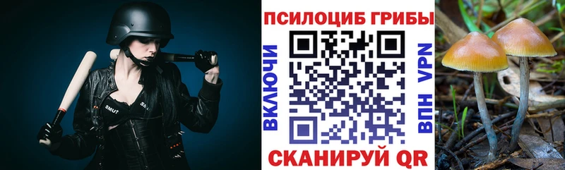 площадка клад  Шацк  Псилоцибиновые грибы Magic Shrooms  цена  